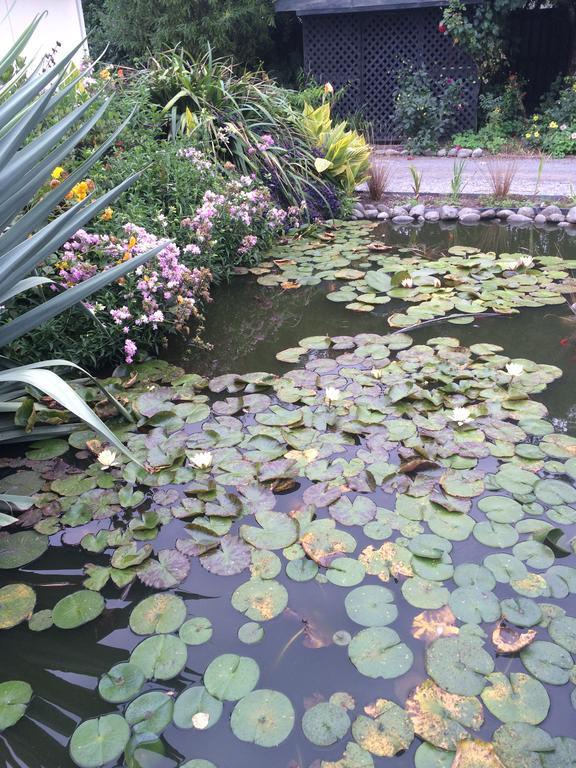 Water Lily Garden Bed and Breakfast Κράισττσερτς Εξωτερικό φωτογραφία