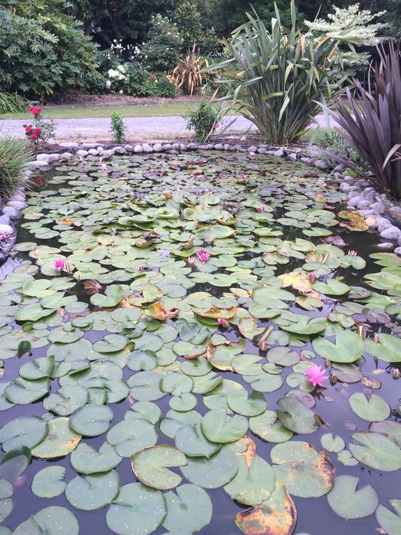 Water Lily Garden Bed and Breakfast Κράισττσερτς Εξωτερικό φωτογραφία